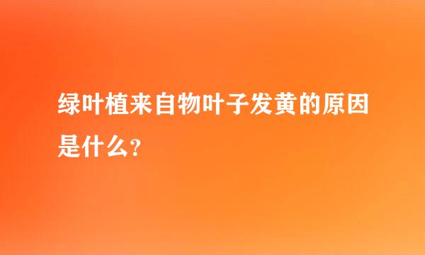 绿叶植来自物叶子发黄的原因是什么？