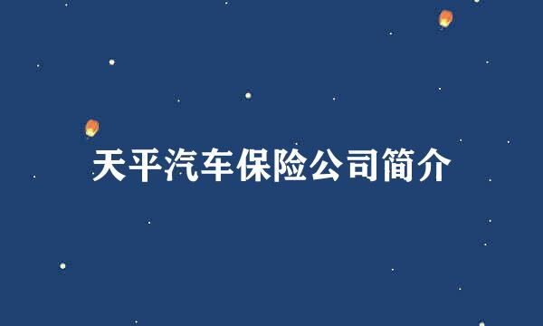 天平汽车保险公司简介