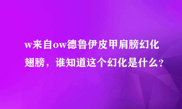 w来自ow德鲁伊皮甲肩膀幻化翅膀，谁知道这个幻化是什么？