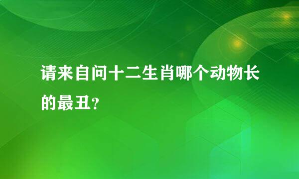 请来自问十二生肖哪个动物长的最丑？