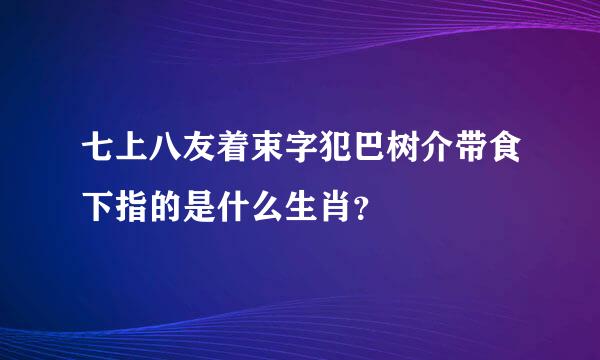 七上八友着束字犯巴树介带食下指的是什么生肖？