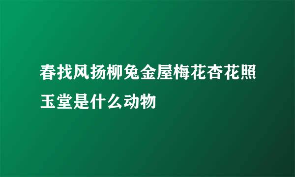 春找风扬柳兔金屋梅花杏花照玉堂是什么动物