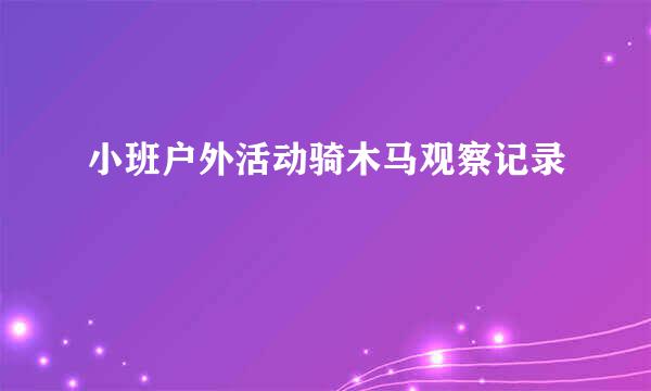 小班户外活动骑木马观察记录