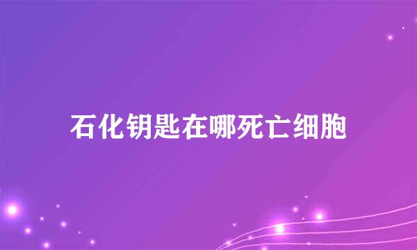 石化钥匙在哪死亡细胞