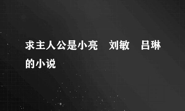 求主人公是小亮 刘敏 吕琳的小说