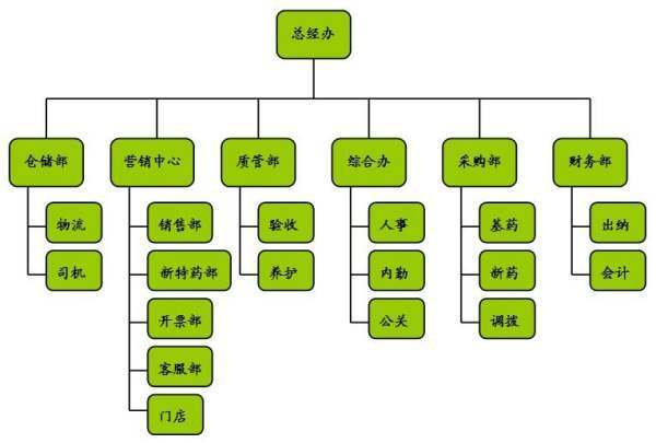 公司的人员结构怎么写