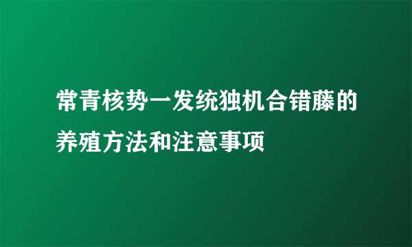 常青核势一发统独机合错藤的养殖方法和注意事项