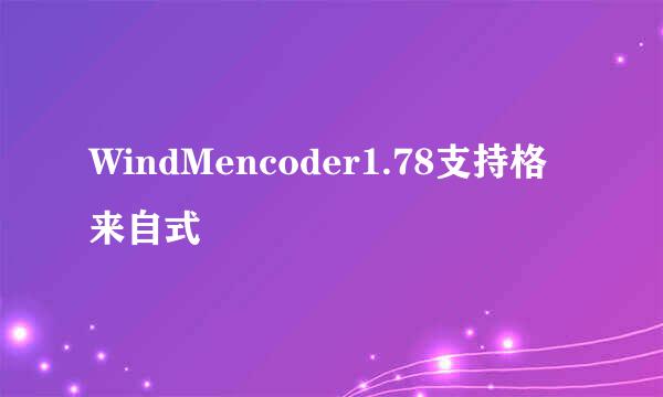 WindMencoder1.78支持格来自式