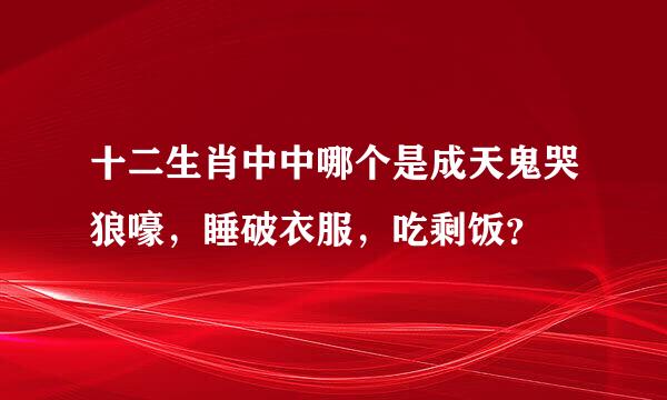 十二生肖中中哪个是成天鬼哭狼嚎，睡破衣服，吃剩饭？