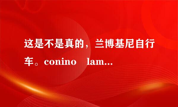 这是不是真的，兰博基尼自行车。conino lamborghini下图是第二十届中国国际自行车展？