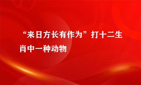 “来日方长有作为”打十二生肖中一种动物