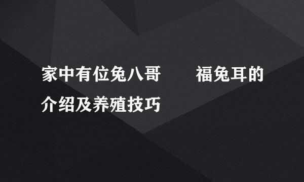 家中有位兔八哥  福兔耳的介绍及养殖技巧