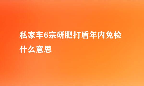 私家车6宗研肥打盾年内免检什么意思