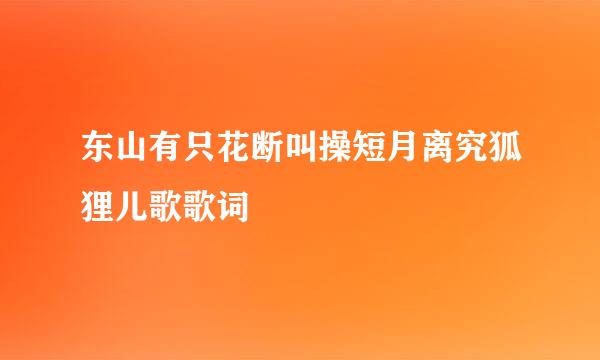 东山有只花断叫操短月离究狐狸儿歌歌词