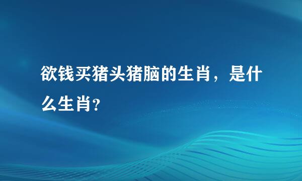 欲钱买猪头猪脑的生肖，是什么生肖？