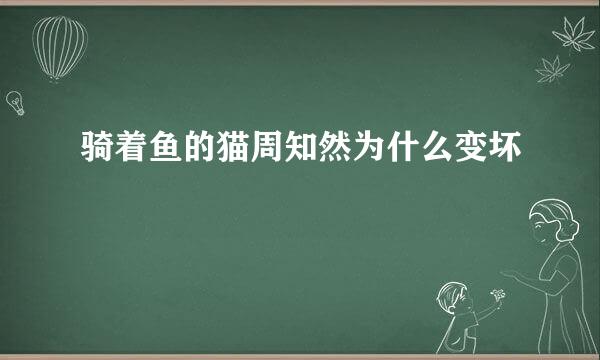 骑着鱼的猫周知然为什么变坏