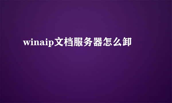 winaip文档服务器怎么卸