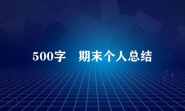 500字 期末个人总结