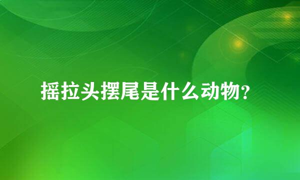 摇拉头摆尾是什么动物？