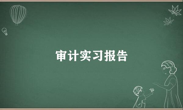 审计实习报告