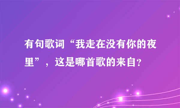 有句歌词“我走在没有你的夜里”，这是哪首歌的来自？