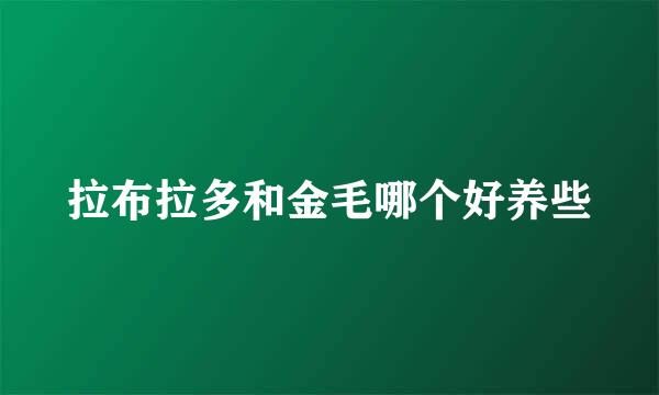 拉布拉多和金毛哪个好养些