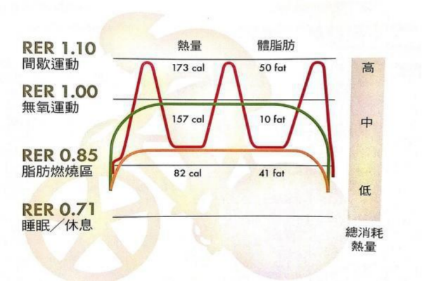 rer医学上是什么意思