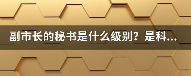 副市长的秘书是什么级别？是科级干部吗？