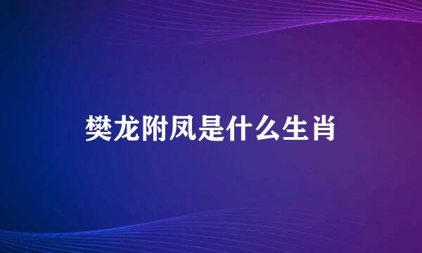 樊龙附凤是什么生肖