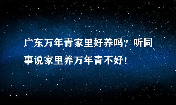 广东万年青家里好养吗？听同事说家里养万年青不好！