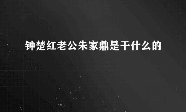 钟楚红老公朱家鼎是干什么的