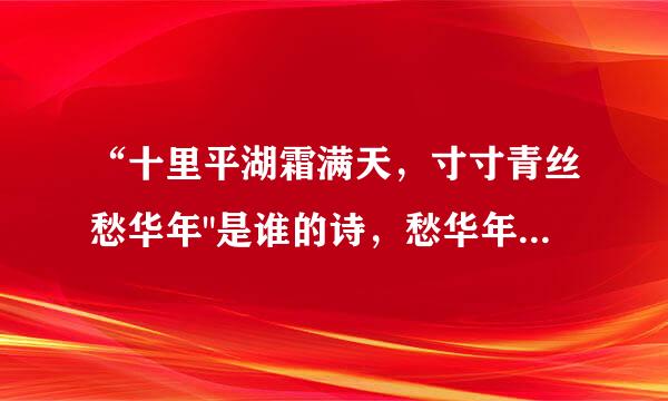 “十里平湖霜满天，寸寸青丝愁华年