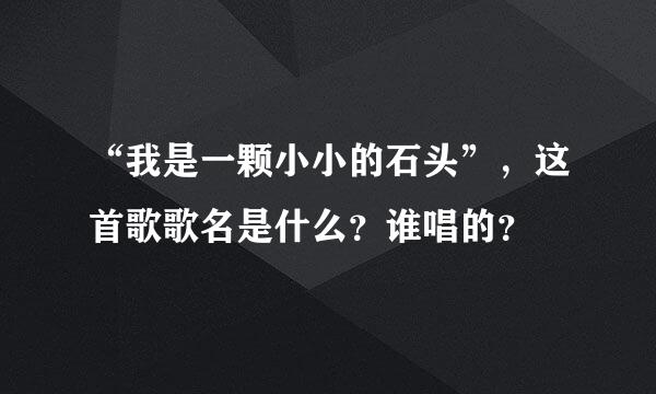 “我是一颗小小的石头”，这首歌歌名是什么？谁唱的？