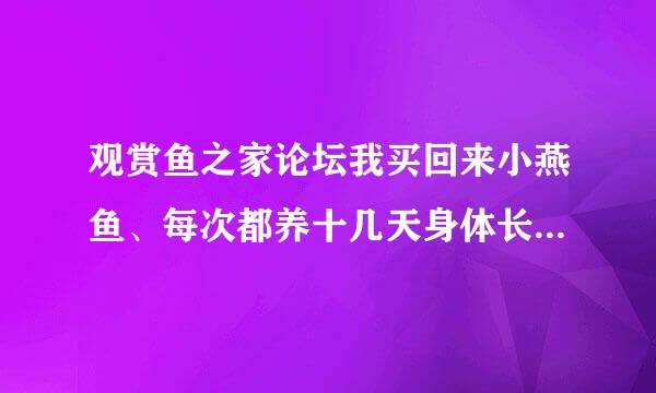 观赏鱼之家论坛我买回来小燕鱼、每次都养十几天身体长白毛死掉为什么