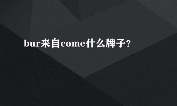 bur来自come什么牌子？