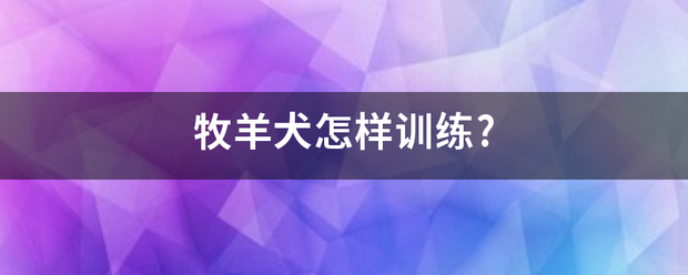 牧羊犬怎样训练?