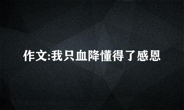 作文:我只血降懂得了感恩