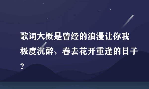 歌词大概是曾经的浪漫让你我极度沉醉，春去花开重逢的日子？