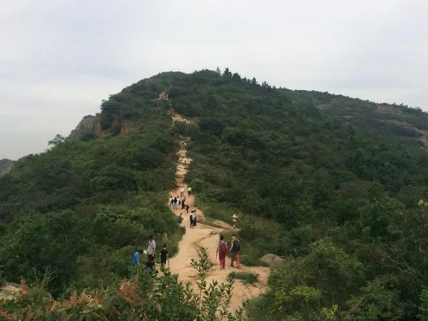 灵岩山风景区要门票吗