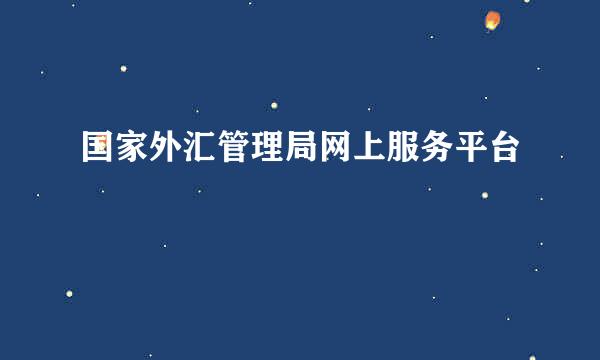 国家外汇管理局网上服务平台