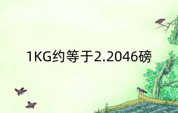 1kg等于多少磅