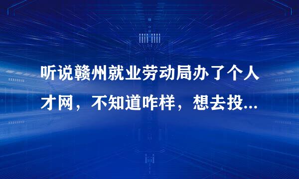 听说赣州就业劳动局办了个人才网，不知道咋样，想去投份简历试试