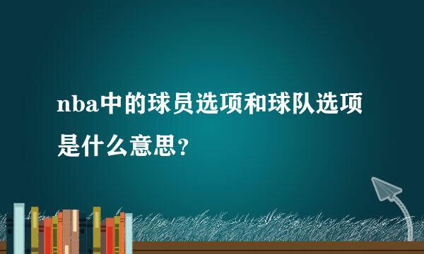 nba中的球员选项和球队选项是什么意思？