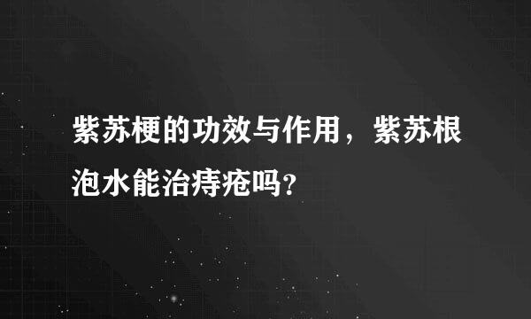 紫苏梗的功效与作用，紫苏根泡水能治痔疮吗？