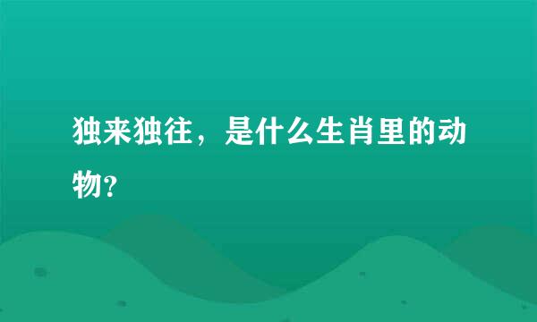 独来独往，是什么生肖里的动物？