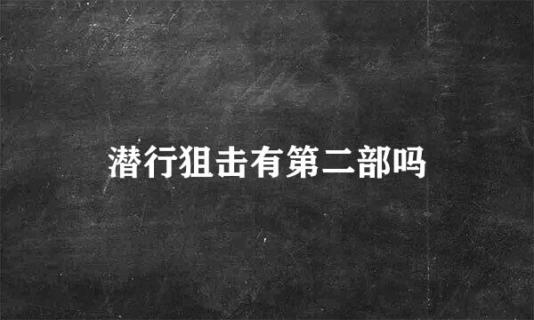 潜行狙击有第二部吗