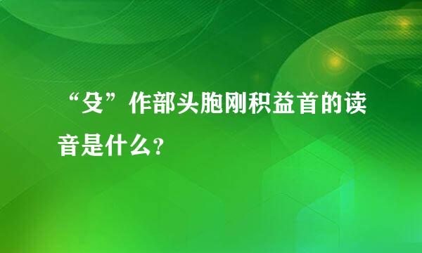 “殳”作部头胞刚积益首的读音是什么？