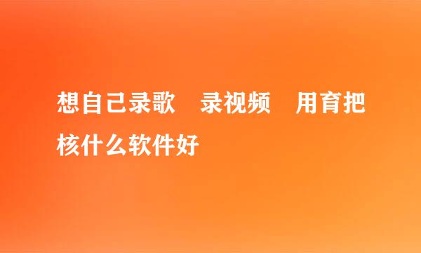 想自己录歌 录视频 用育把核什么软件好