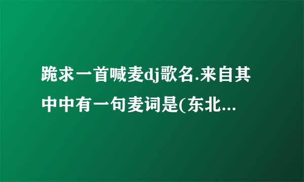 跪求一首喊麦dj歌名.来自其中中有一句麦词是(东北苹果东北梨.东北小伙招人迷)