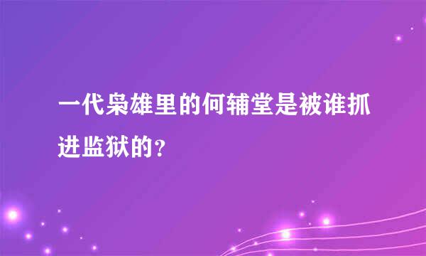 一代枭雄里的何辅堂是被谁抓进监狱的？